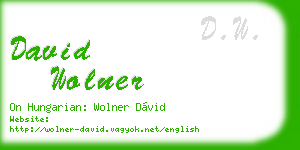 david wolner business card